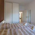Ii